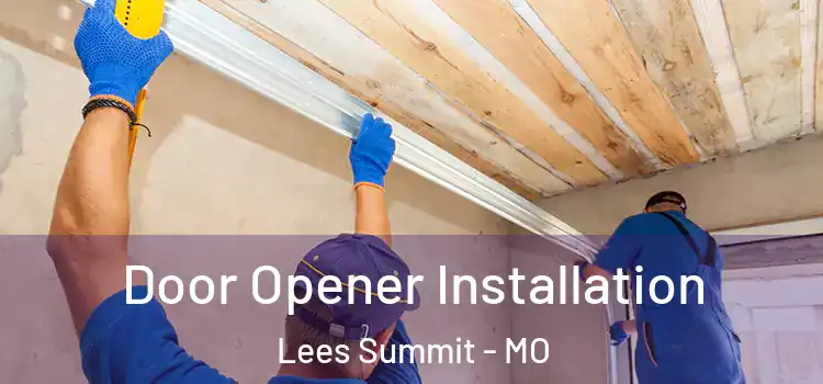 Door Opener Installation Lees Summit - MO