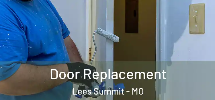  Door Replacement Lees Summit - MO
