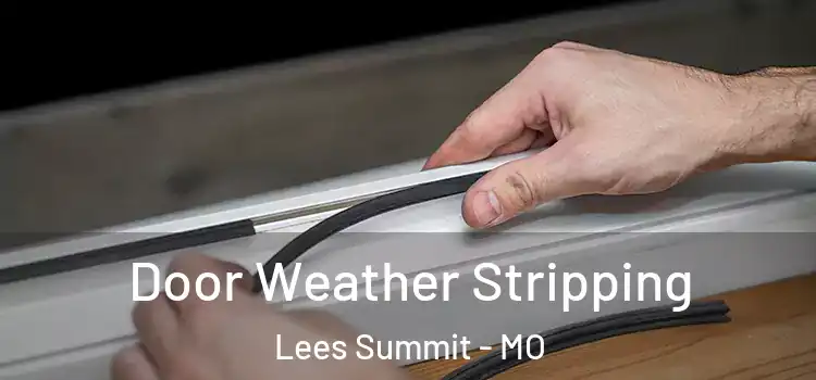  Door Weather Stripping Lees Summit - MO