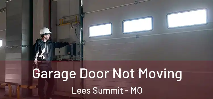  Garage Door Not Moving Lees Summit - MO