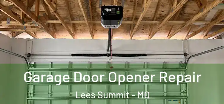  Garage Door Opener Repair Lees Summit - MO