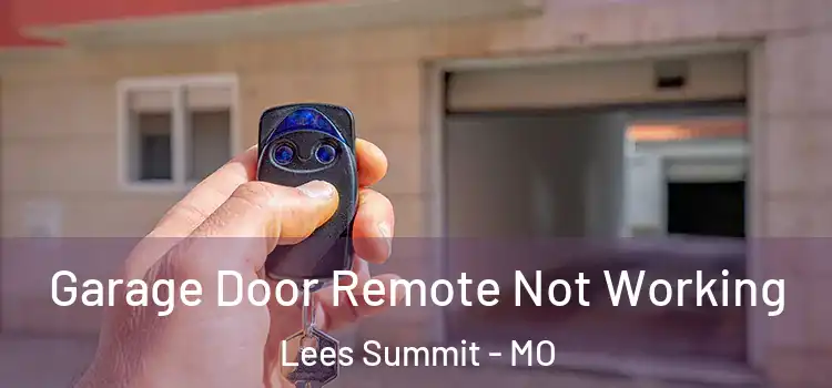  Garage Door Remote Not Working Lees Summit - MO