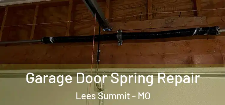  Garage Door Spring Repair Lees Summit - MO