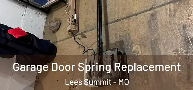  Garage Door Spring Replacement Lees Summit - MO