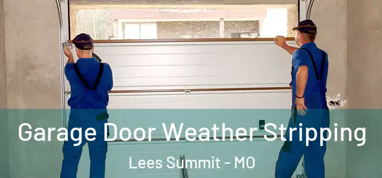  Garage Door Weather Stripping Lees Summit - MO