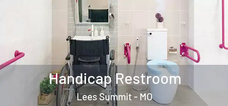  Handicap Restroom Lees Summit - MO