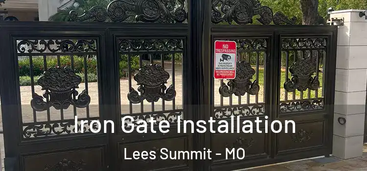  Iron Gate Installation Lees Summit - MO