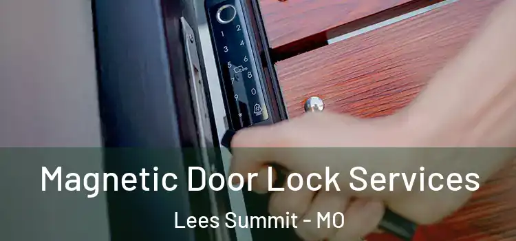 Magnetic Door Lock Services Lees Summit - MO