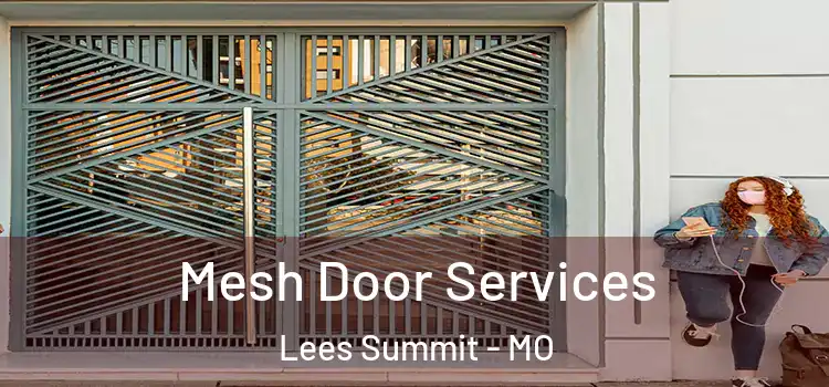  Mesh Door Services Lees Summit - MO