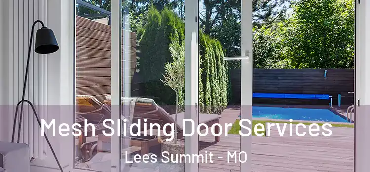  Mesh Sliding Door Services Lees Summit - MO