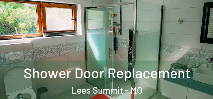  Shower Door Replacement Lees Summit - MO