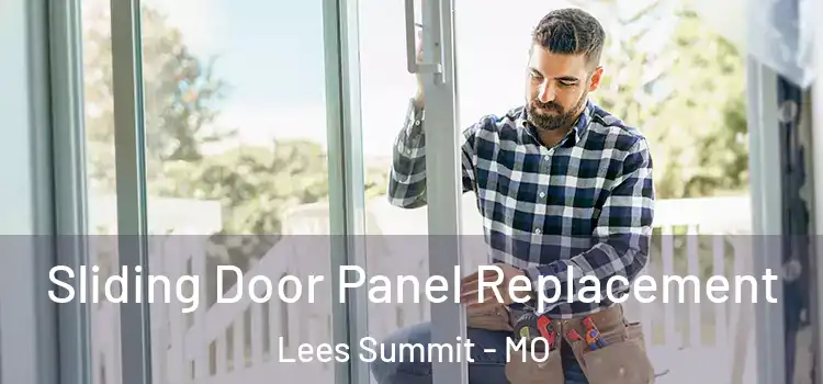  Sliding Door Panel Replacement Lees Summit - MO