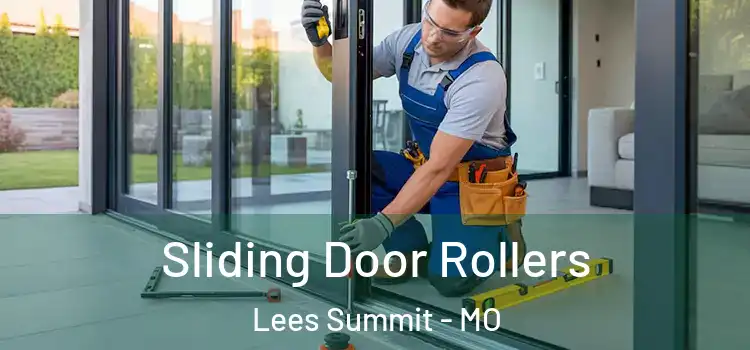  Sliding Door Rollers Lees Summit - MO
