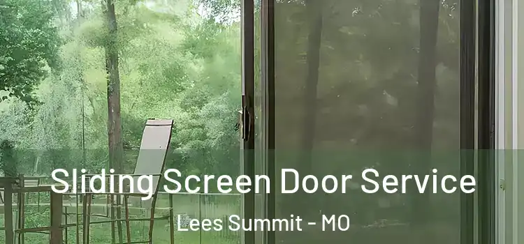  Sliding Screen Door Service Lees Summit - MO